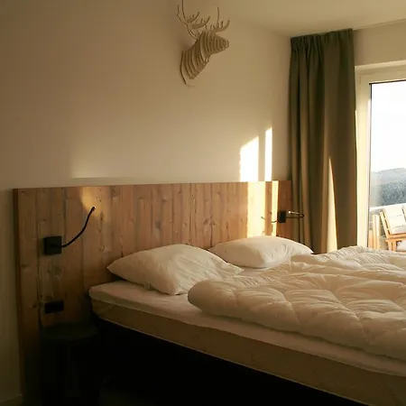 Luxe Appartementen * ווינטרברג