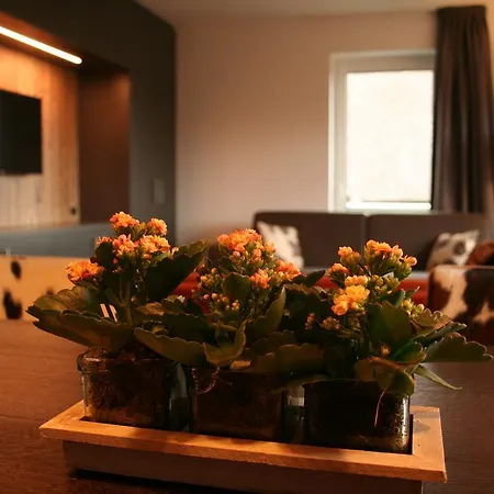 דירה Luxe Appartementen ווינטרברג
